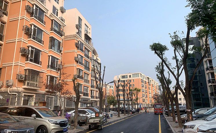 朝阳区 紫南家园215号楼5层10单元501（紫南家园）