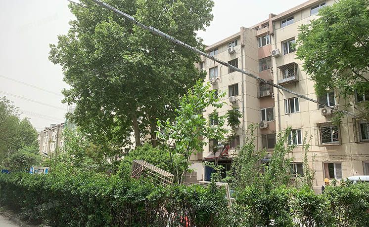 大兴区 西红门镇金荣园8号楼3层5-301（金荣园）