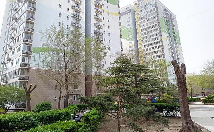 海淀区 羊坊店博望园3号楼8层06（博望园）