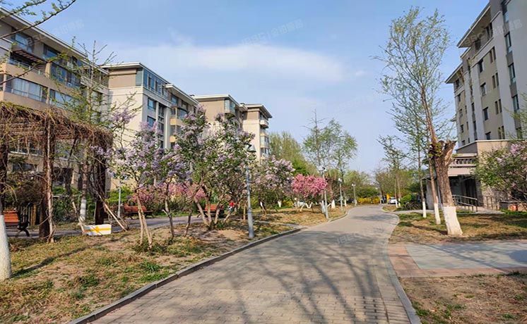 海淀区 冷泉林语山庄二区1号楼4层03单元502（保利西山林语）