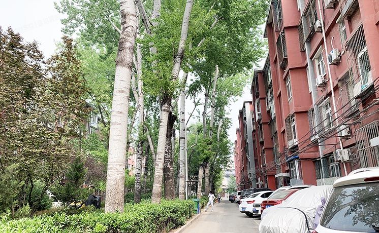 东城区 地坛北里5号楼1层1单元101号（地坛北里）