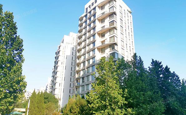 朝阳区 公园大道1号楼1层1H