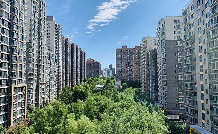 朝阳区 CBD总部公寓二区6号楼8层7单元803号