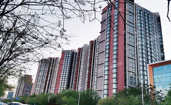 朝阳区 朝庭公寓3号楼17层4单元2002