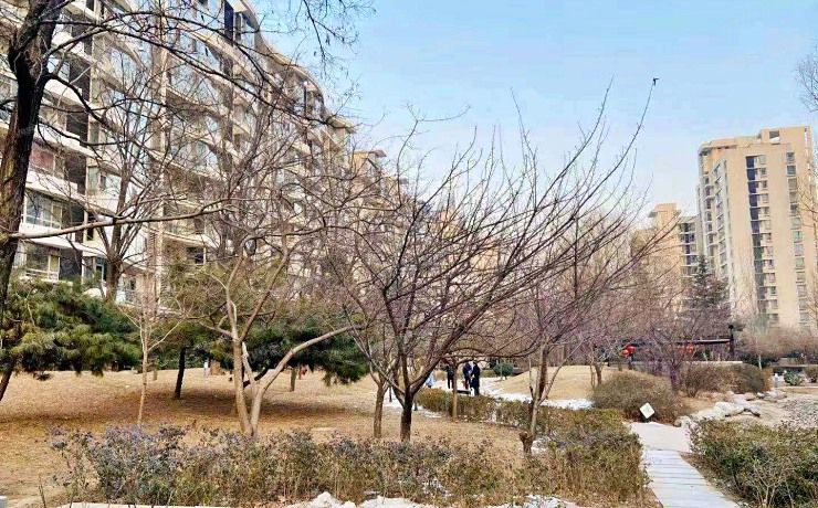 朝阳区 乐成国际5号楼8层5单元901